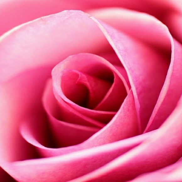 Clothes, Shoes, and Accessories πποΈπ ππ - Picture 1 of 1